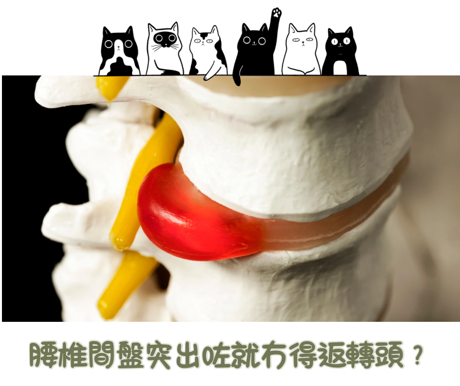 開會站不住、走路要拄拐杖？一次看懂腰椎間盤突出的自救與中醫調理