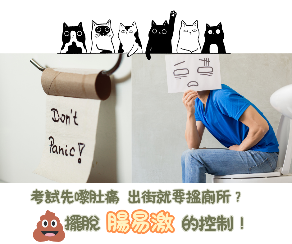 腸易激冇得醫？一文看清中醫如何助你輕鬆助擺脫腸躁症