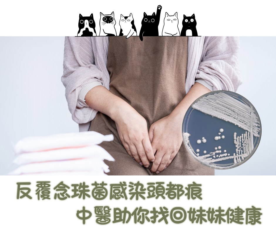 私密處「豆腐渣、反覆痕癢」塞藥也沒用？中醫教你從根本斷尾！